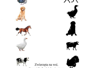 Zadanie 2