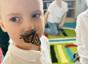 "Stokrotki" i spotkanie z motylami