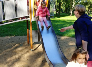 Pszczółki na spacerze w Parku Miejskim