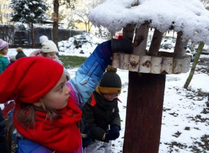 "Jeżyki" dokarmiają ptaki i bawią się na śniegu