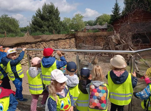 Wycieczka przedszkolaków do Zoo Safarii Borysew