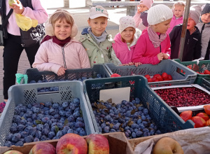 "Jeżyki" i "Żabki" robią sałatkę owocową