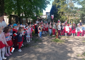 Zdjęcie 18 na 19