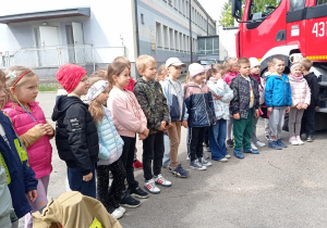 Zdjęcie 4 na 14