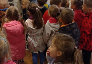 Zdjęcie 5 na 6