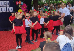 Zdjęcie 12 na 17