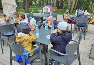 Zdjęcie 13 na 22