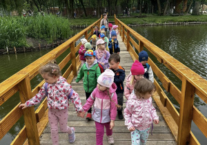Zdjęcie 11 na 22
