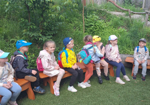 Zdjęcie 8 na 29
