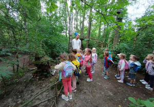 Zdjęcie 25 na 29