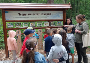 Zdjęcie 3 na 9
