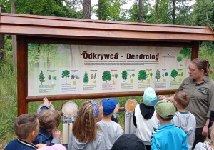Zdjęcie 6 na 9