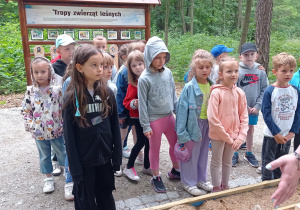 Zdjęcie 7 na 9