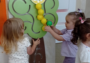 Zdjęcie 2 na 12