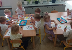 Zdjęcie 7 na 12
