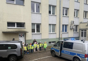 Zdjęcie 3 na 12