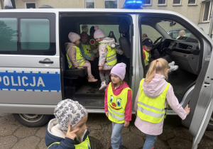 Zdjęcie 7 na 12