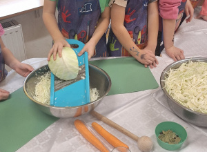 "Biedroneczki " kiszą kapustę