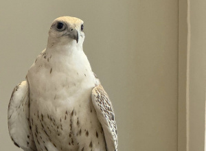 "Spotkanie z Panem Leśniczym"